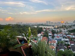 Allsworth Park (D10), Condominium #509969091